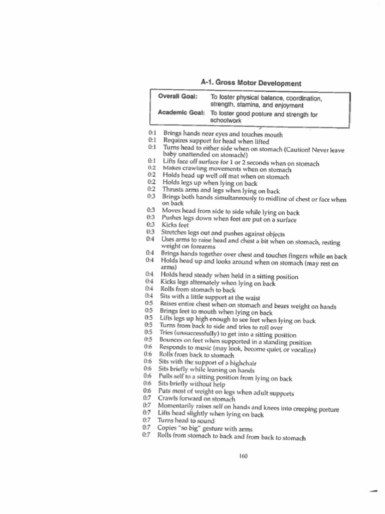 VMI Gross Motor 6 Edition | PDF