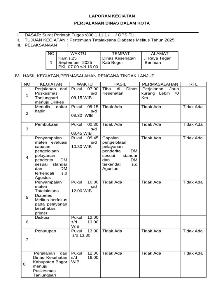Laporan Kegiatan Perjadin DM | PDF