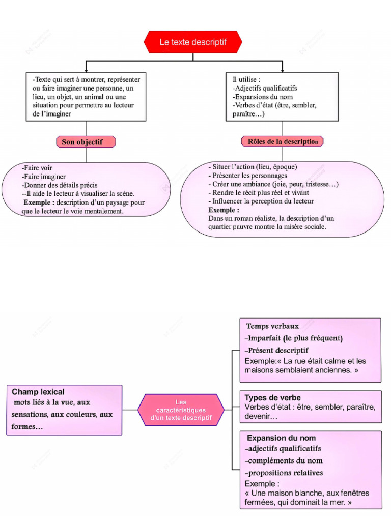 Synthèse D'un Texte Descriptif | PDF