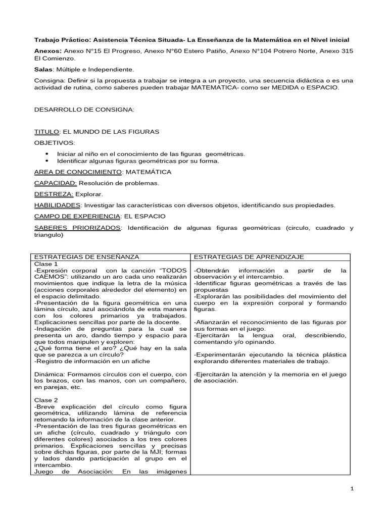 Trabajo Practico Alafetizacion La Matematica en El Nivel Inicial | PDF ...