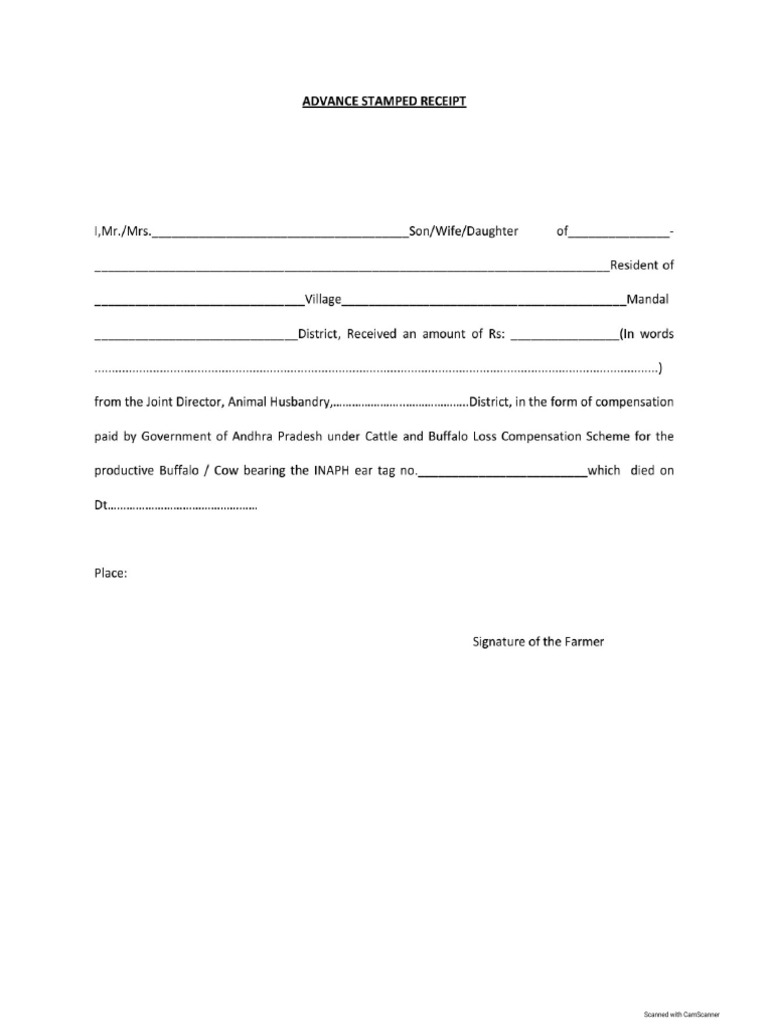Cow | PDF