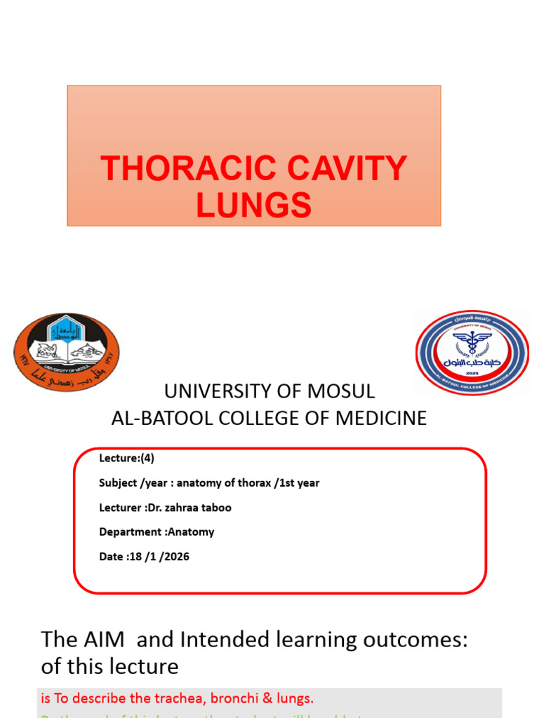 2 Thoracic Cavity Lungs | PDF | Lung | Common Carotid Artery