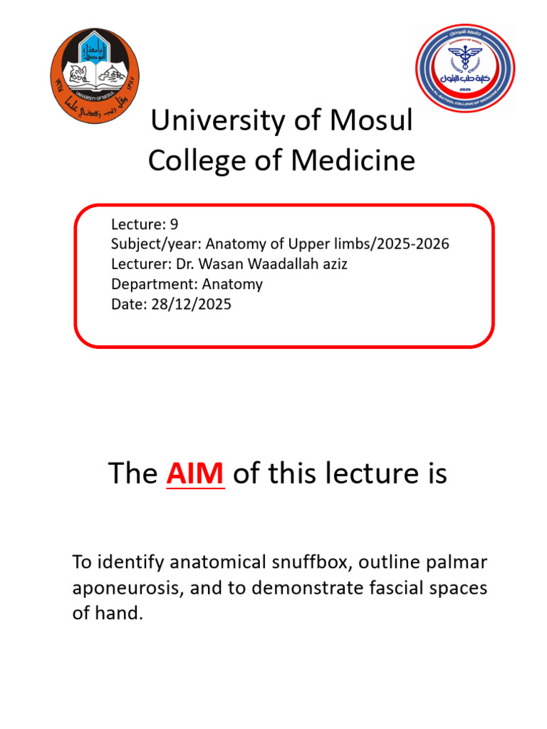 Lec (9). Upper Limb Dr. Wasan | PDF