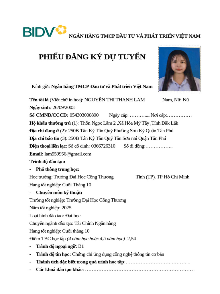 File CV BIDV 2 | PDF