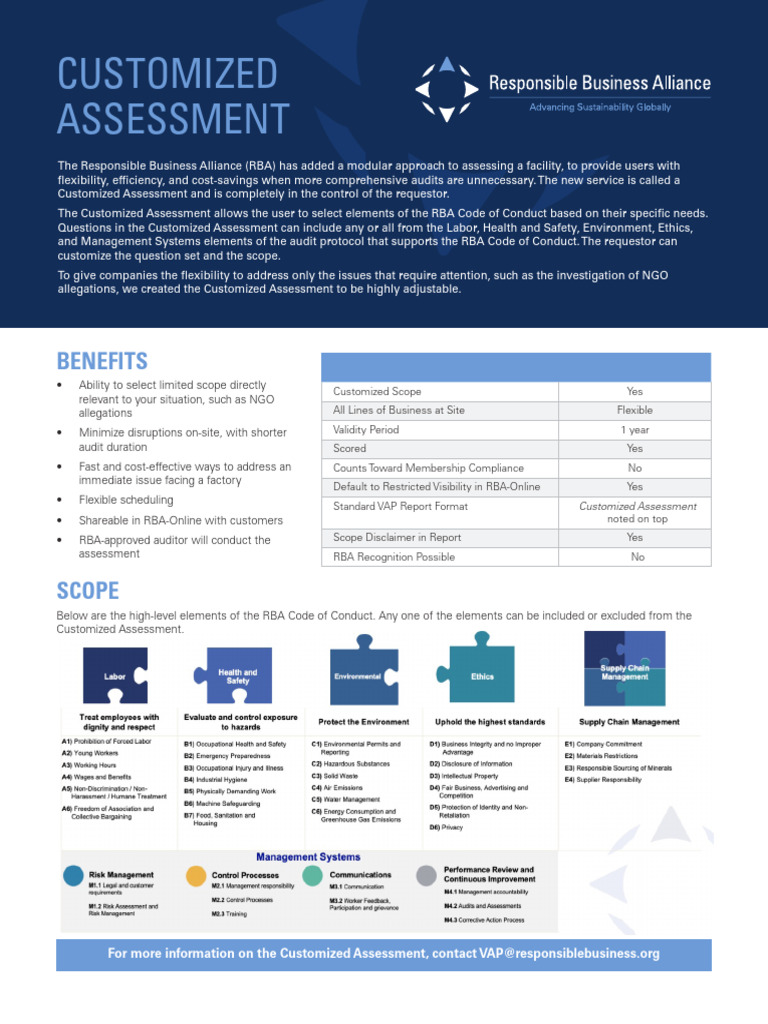 Customized Assessment | PDF