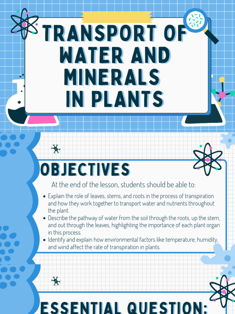 Transport of Water and Minerals in Plants | PDF | Root | Leaf