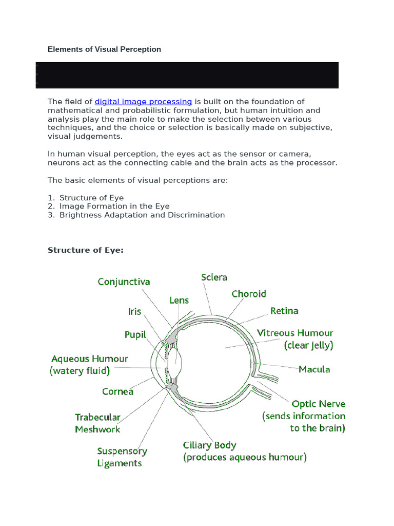 Elements of Visual Perception | PDF | Eye | Image Resolution