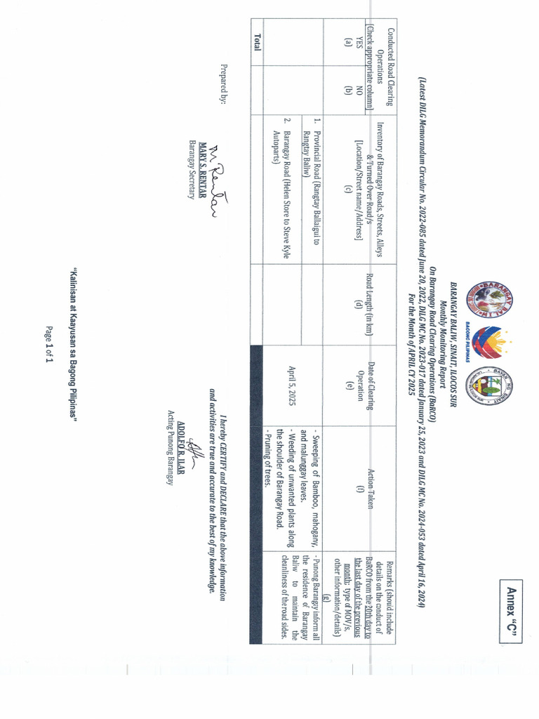 BALIW | PDF