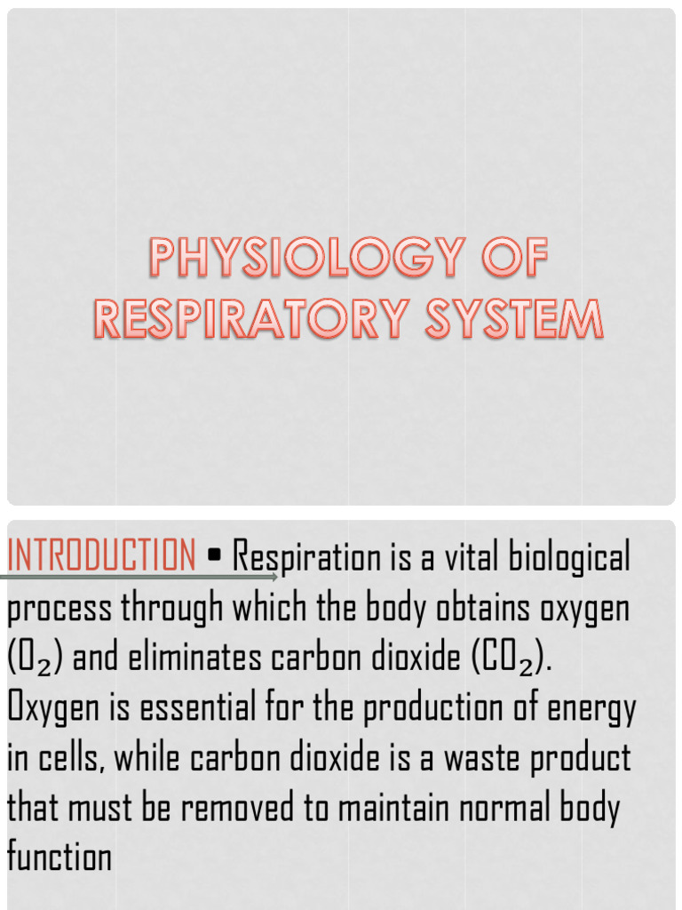 Physiology of Respiratory System | PDF | Respiratory Tract | Lung