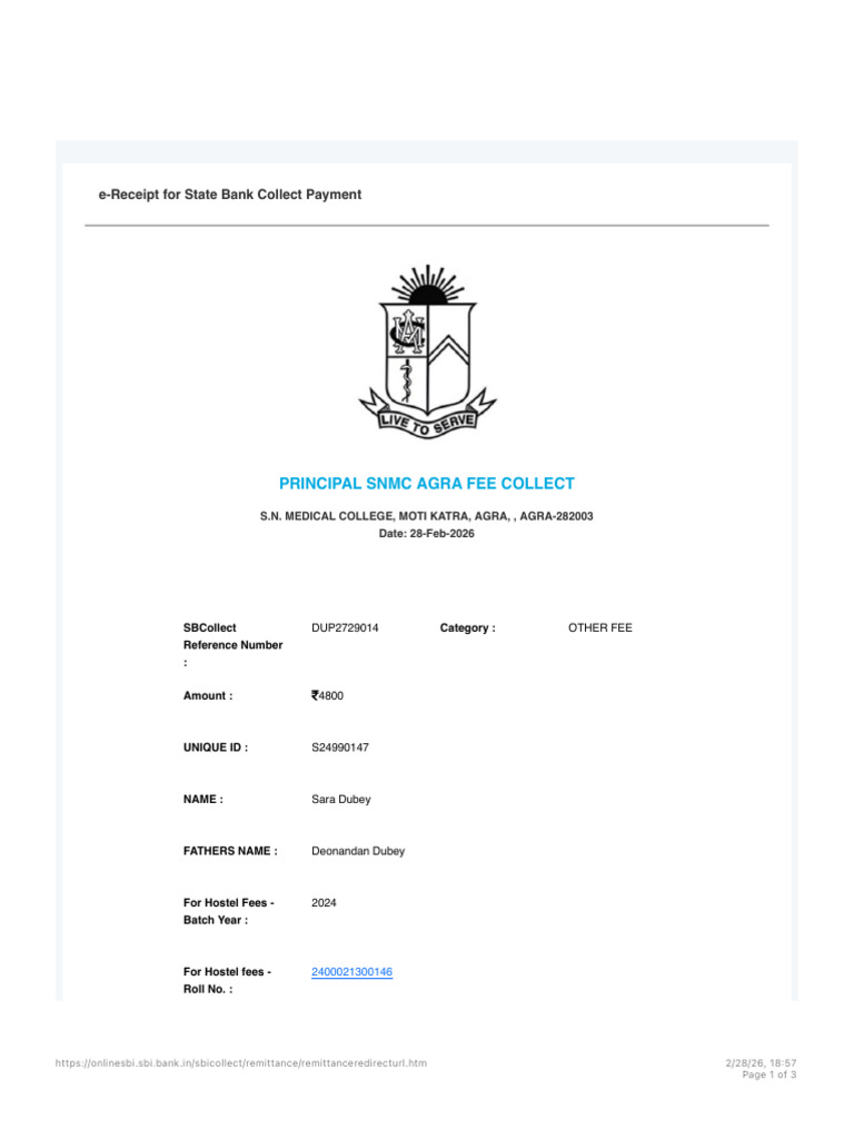 SB Collect | PDF | Payments