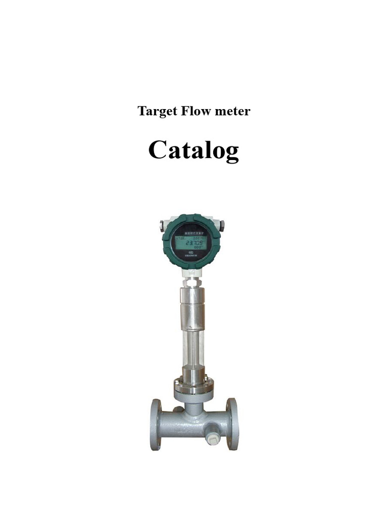 Targetflowmetercatalog 210616054014 | PDF | Flow Measurement | Temperature