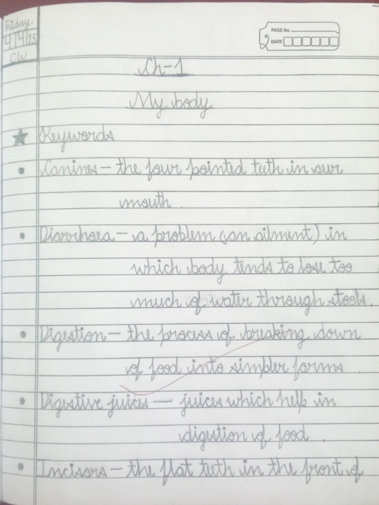 EVS Chapter 1(Notebook Work) 21-Apr-2025 11-52-08(1) | PDF
