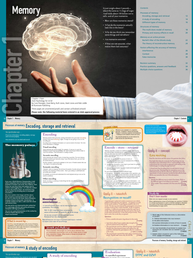 Aqa 8182 Illuminate Sample | PDF | Memory | Recall (Memory)