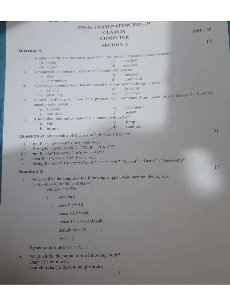 Computer Paper | PDF