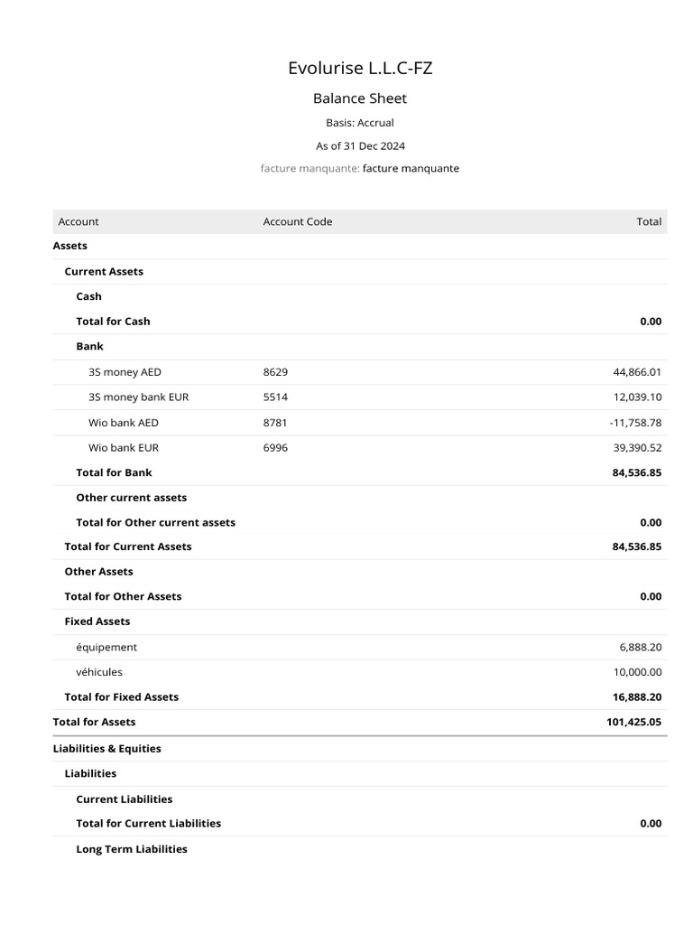 Balance Sheet | PDF | Equity (Finance) | Balance Sheet