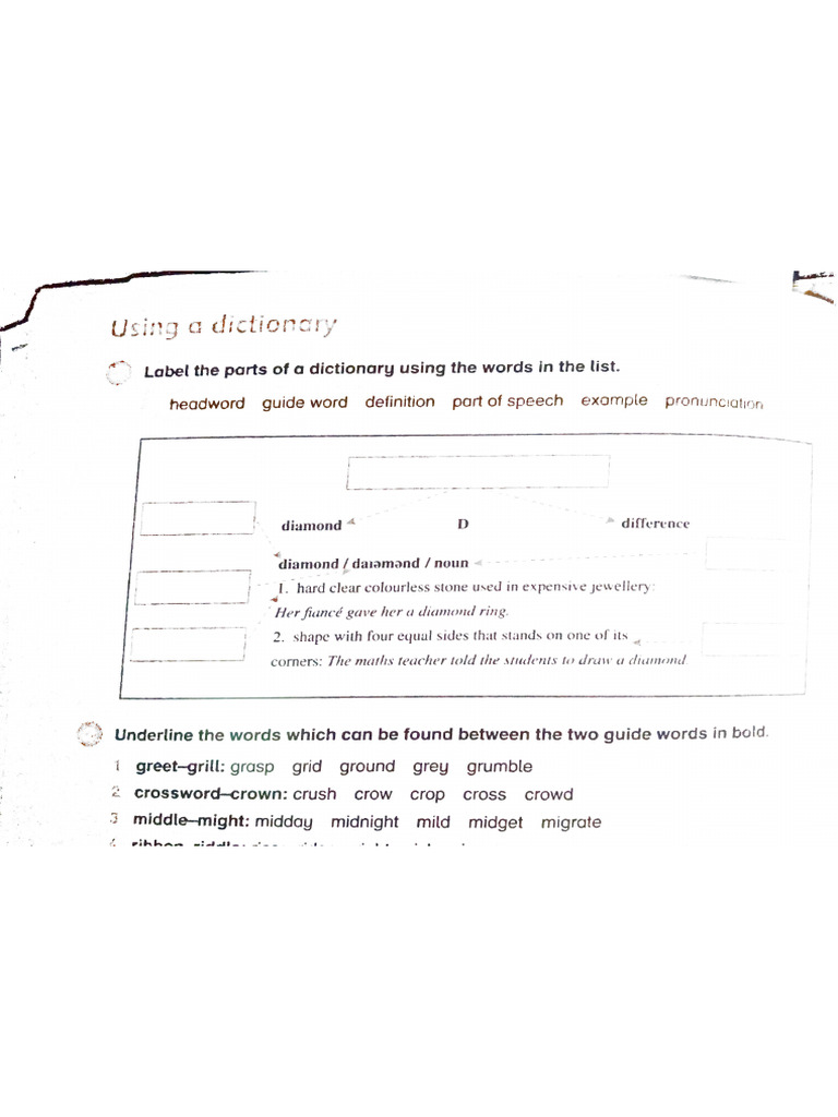 New Document | PDF