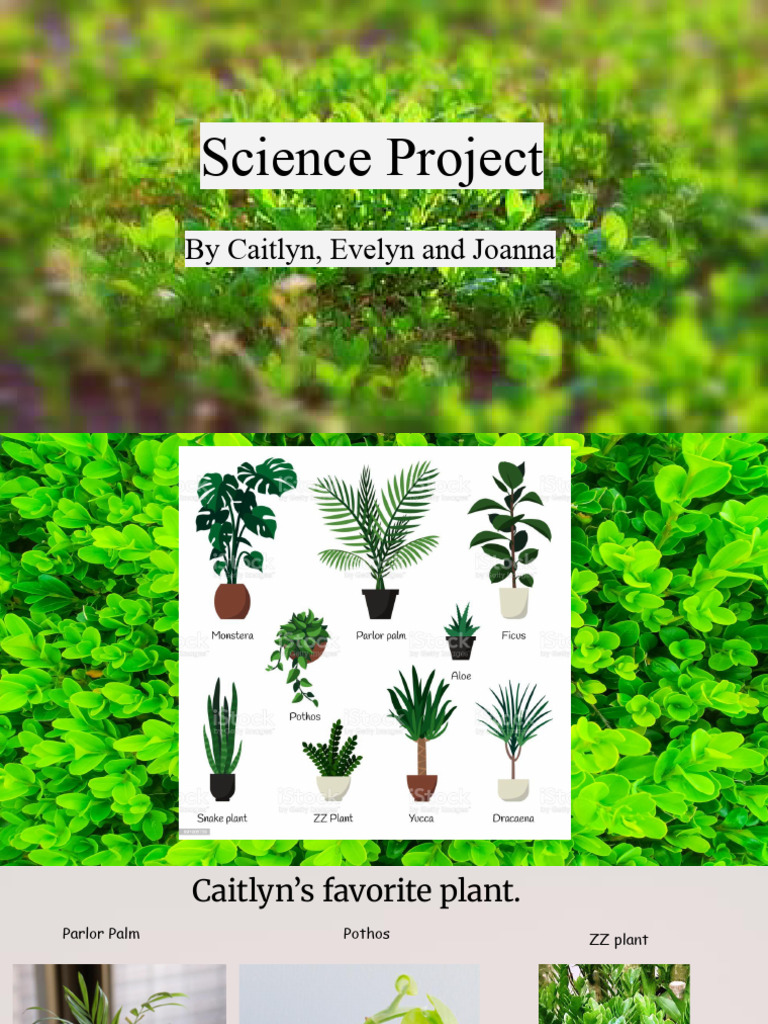 Science | PDF