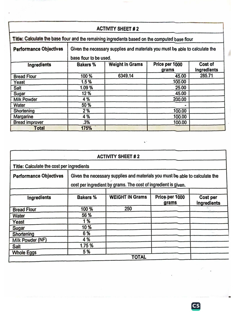 BPP Activity | PDF