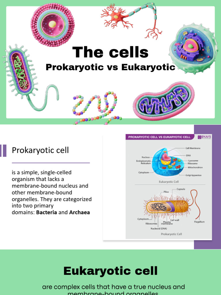 Chapter-2 Prokaryotic and Eukaryotic Cells | PDF