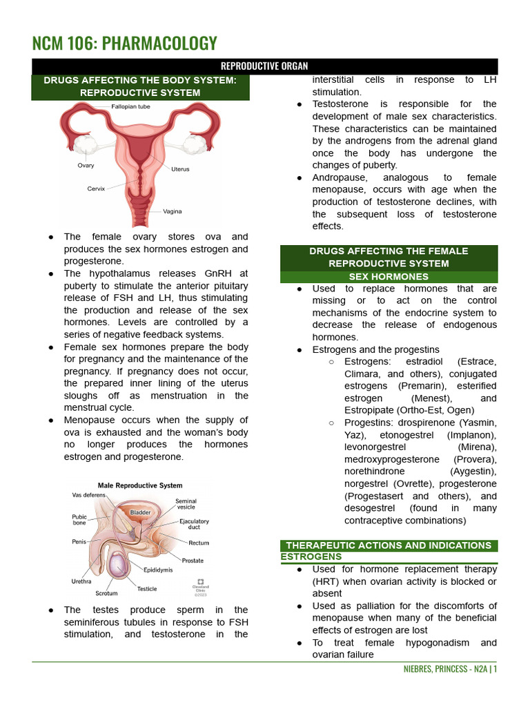 106 Reproductive System | PDF | Estrogen | Luteinizing Hormone