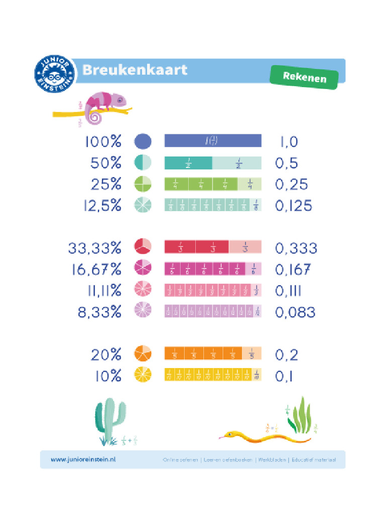 Junior Einstein Breuken Procenten | PDF