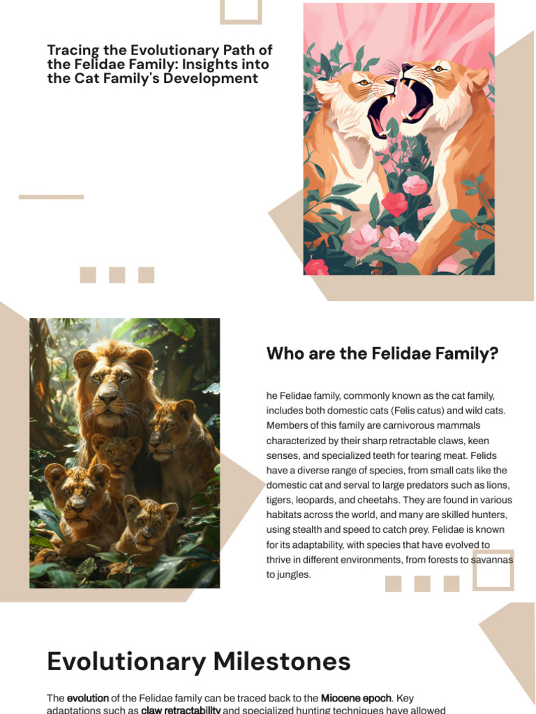 Slidesgo Tracing the Evolutionary Path of the Felidae Family Insights ...
