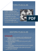 Sistema Muscular(Power Point)