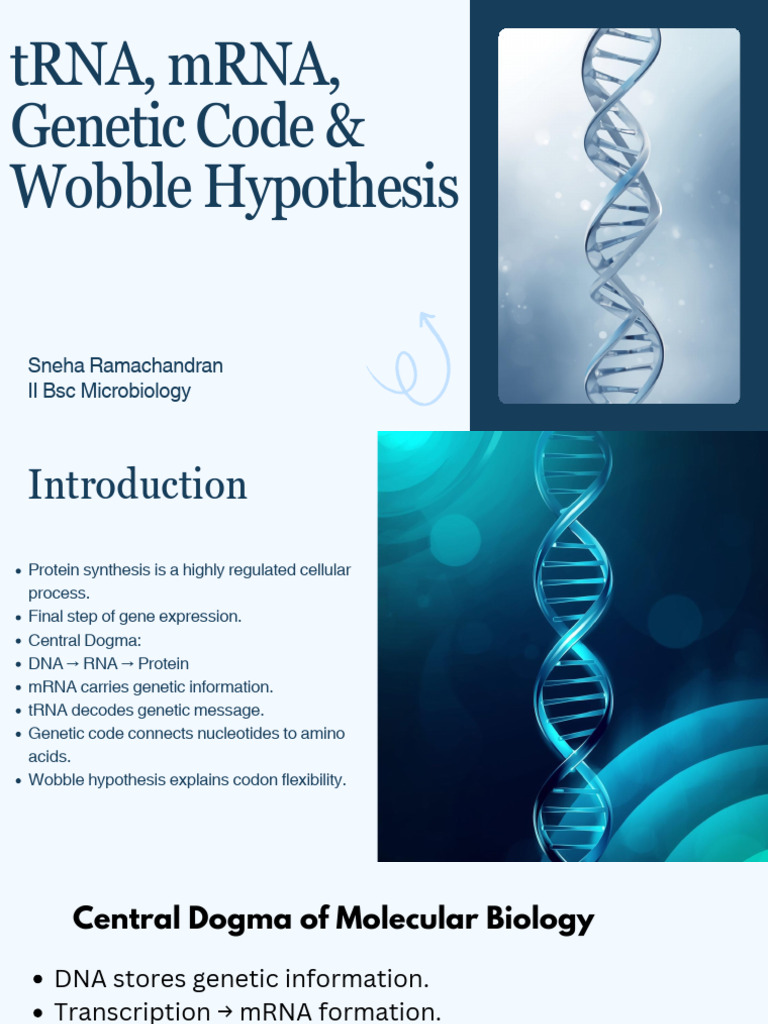 Presentation - The Genetic Code - 20260216 - 221137 - 0000 | PDF ...