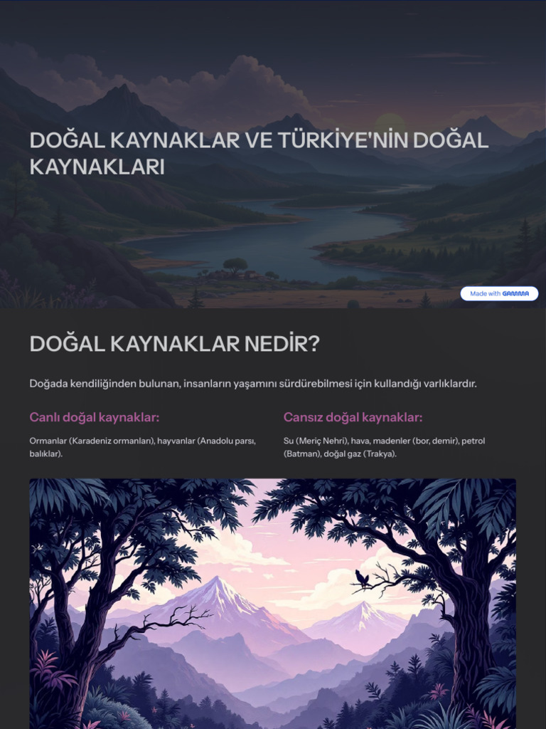 Dogal Kaynaklar Ve Turkiyenin Dogal Kaynaklari | PDF