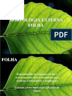 BOTANICA FOLHA - Cópia