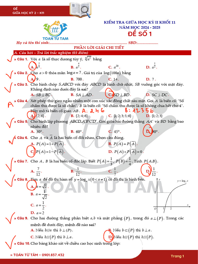 Bo de Kiem Tra Giua Ky 2 Toan 11 Canh Dieu Nam Hoc 2024 2025 Trang 1 | PDF