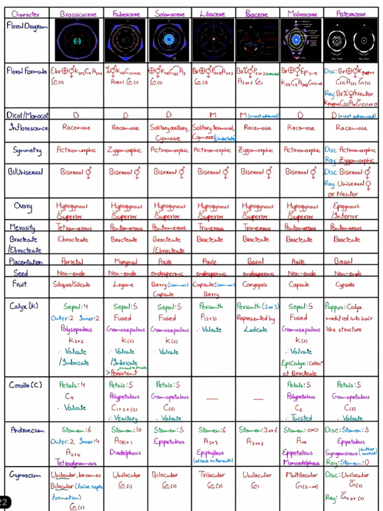 Adobe Scan Mar 09, 2026 (1) - Invert | PDF