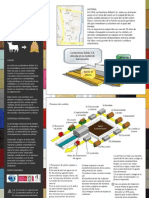 Curtiembres Bufalo - Infografia