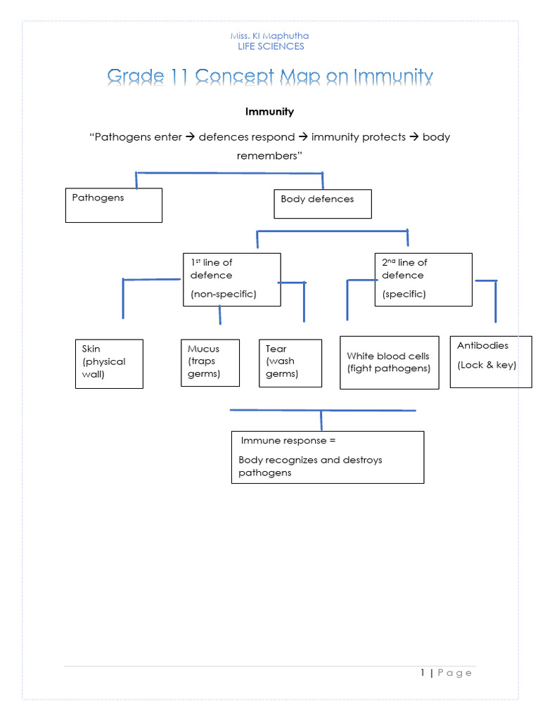 Grade 11 Concept Map On Immunity | PDF