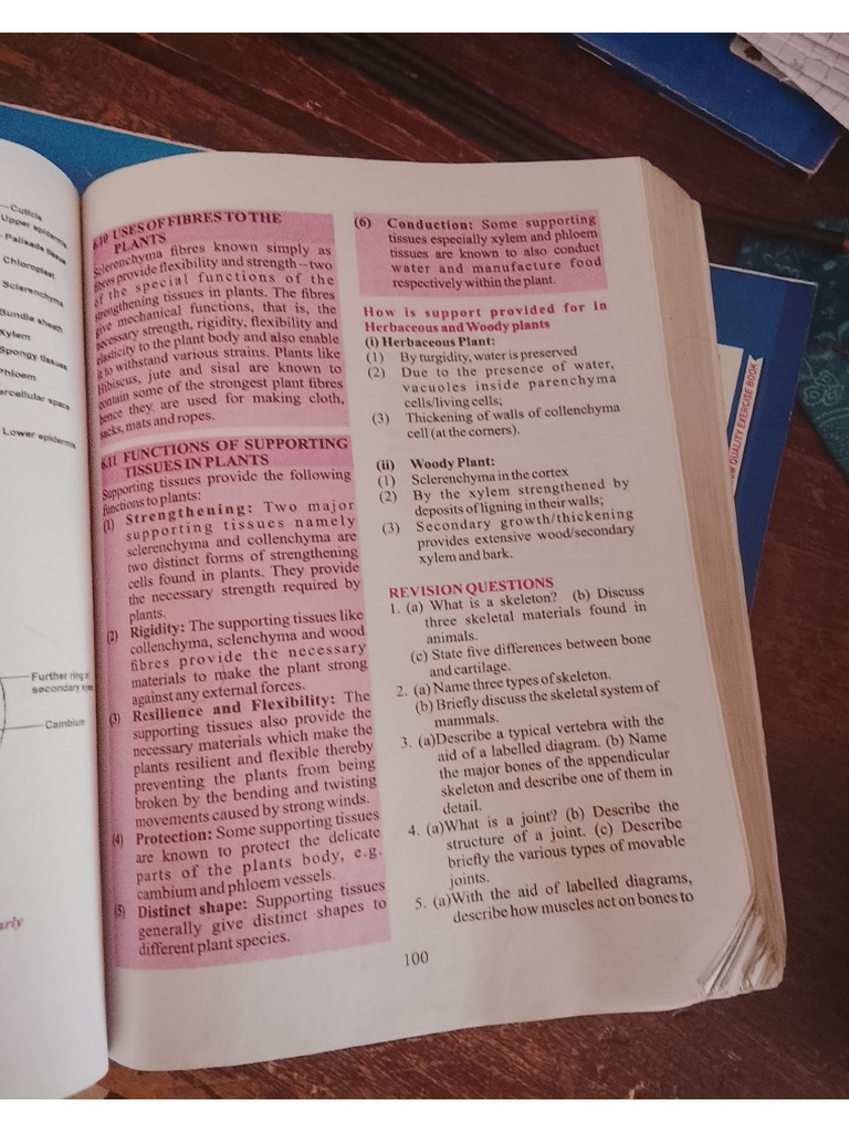 Textbook | PDF