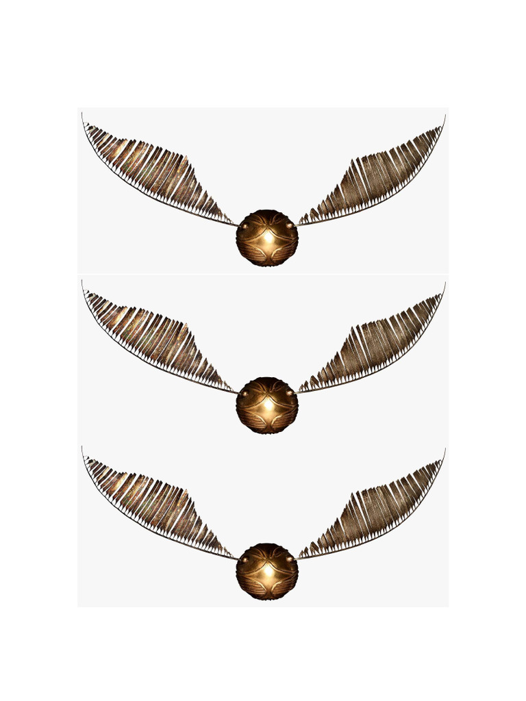 Snitch | PDF