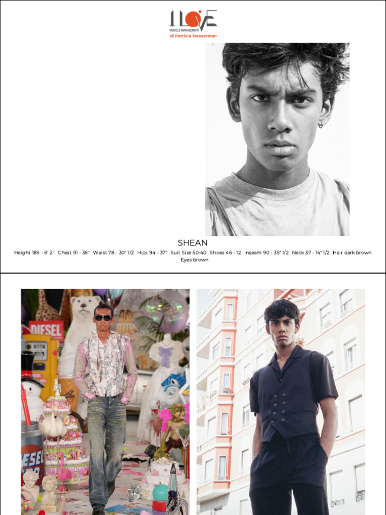 Shean Portfolio | PDF