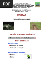 Erosão Hídrica e Formação de Ravinas | PDF | Erosão | Geomorfologia