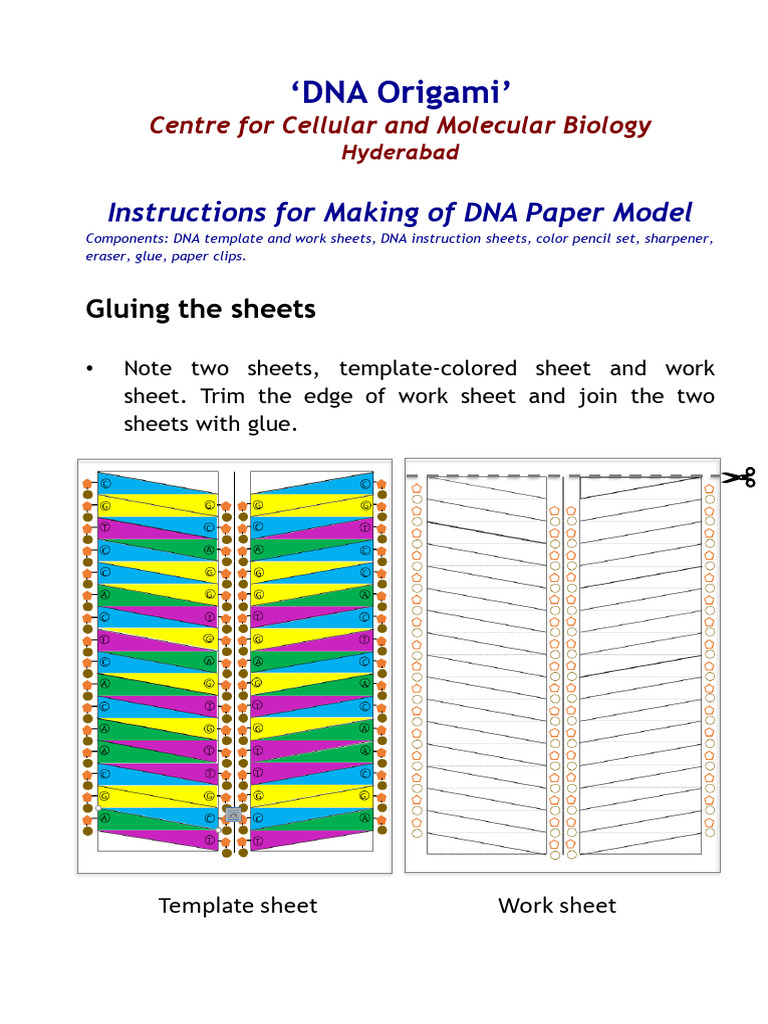 DNA-Origami Temaplates Final Broader WithInstructions | PDF | Dna ...