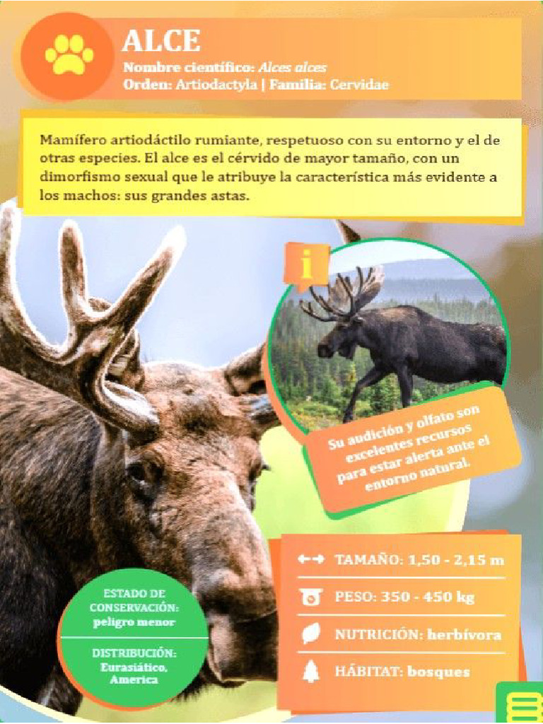 El Alce | PDF