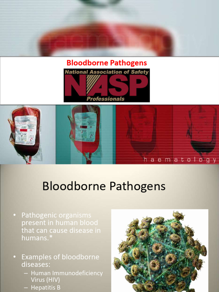 Bloodborne Pathogens | PDF | Hepatitis C | Hiv/Aids