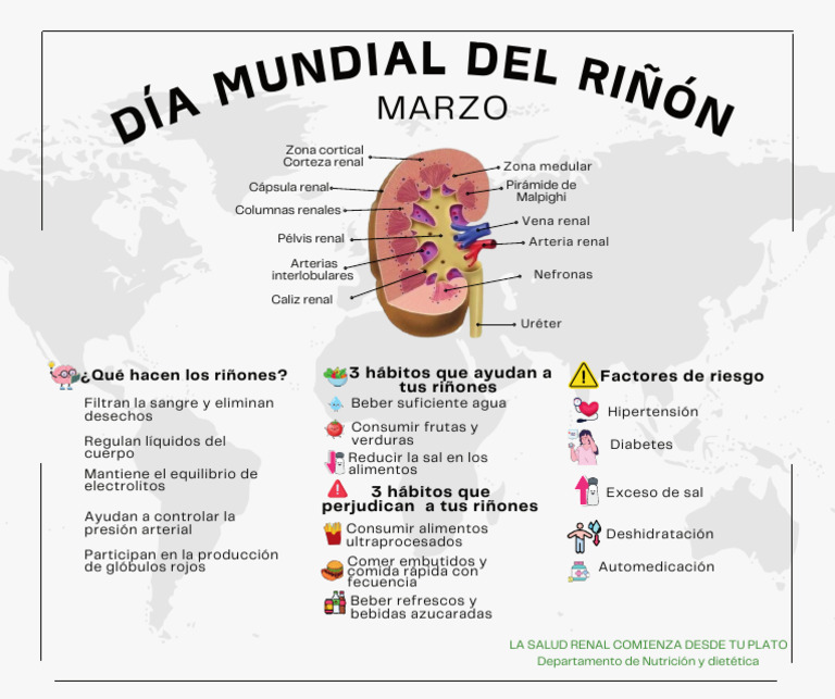 Cartel Día Mundial Del Riñon _20260309_133721_0000 | PDF