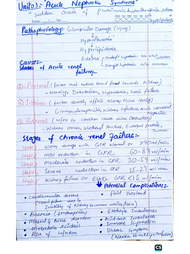 AHN NOTES | PDF