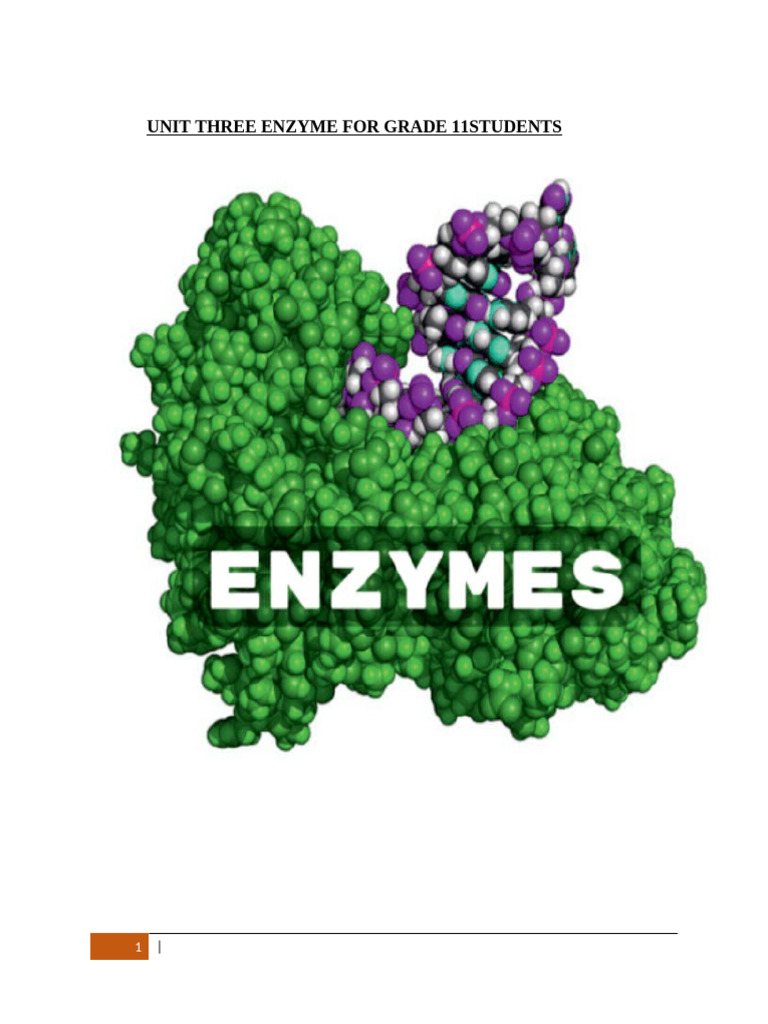 Unit 3 Enzyme Short Note For G - 11 | PDF | Enzyme | Enzyme Inhibitor