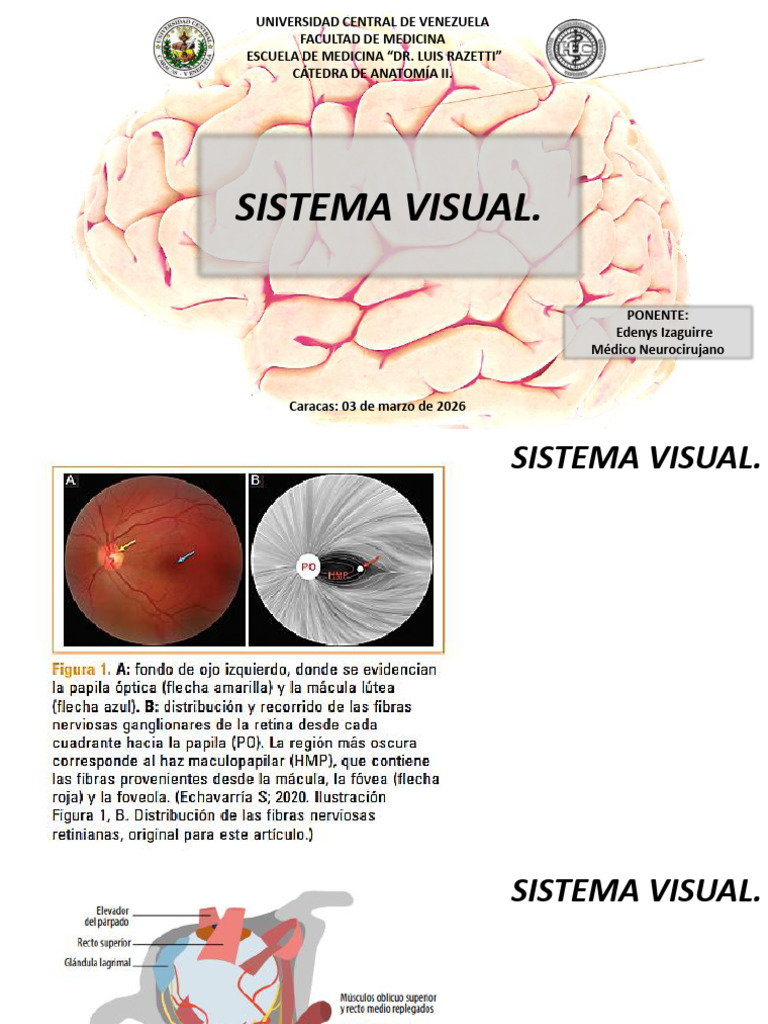 Sistema Visual 2026 | PDF