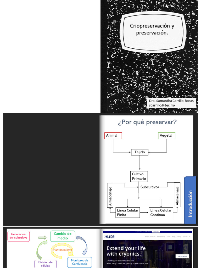 Presentaci%C3%B3n+SCR+Criopreservaci%C3%B3n | PDF