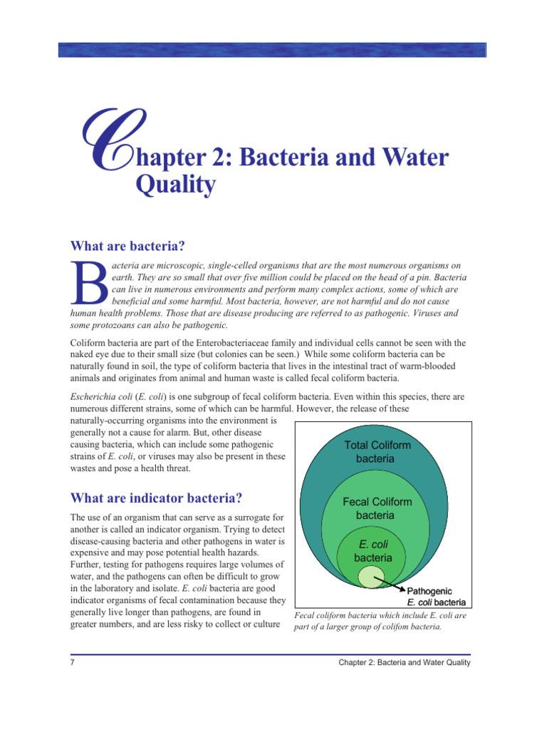 Bacteria and Water Quality | PDF | Water Pollution | Combined Sewer