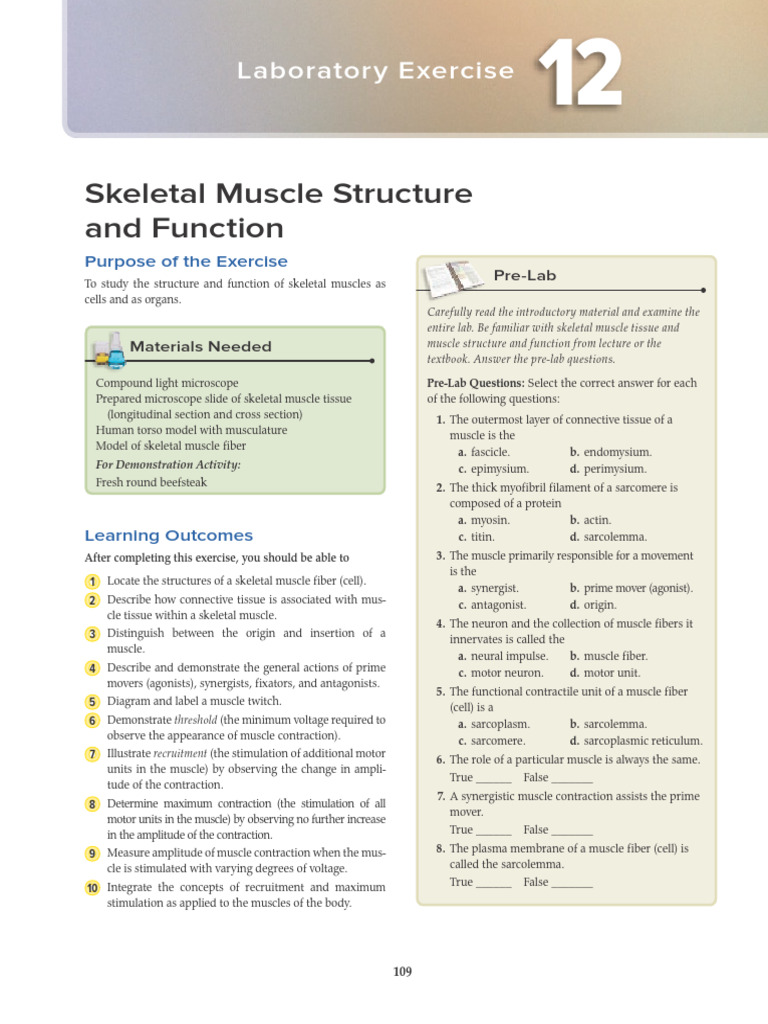 Lab 12-Skeletal Muscle Structure and Function | PDF | Skeletal Muscle ...