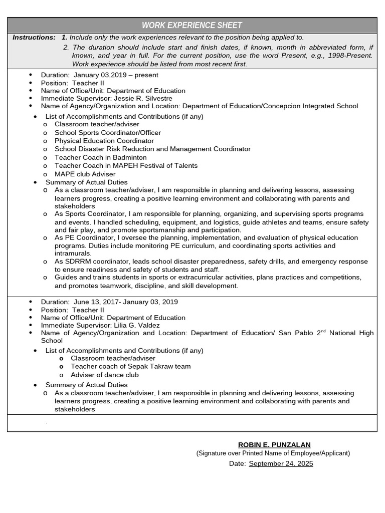 Work Experience Sheet Punzalan, Robin E. | PDF | Teachers | Cognition