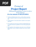 Project Report Format For Sip